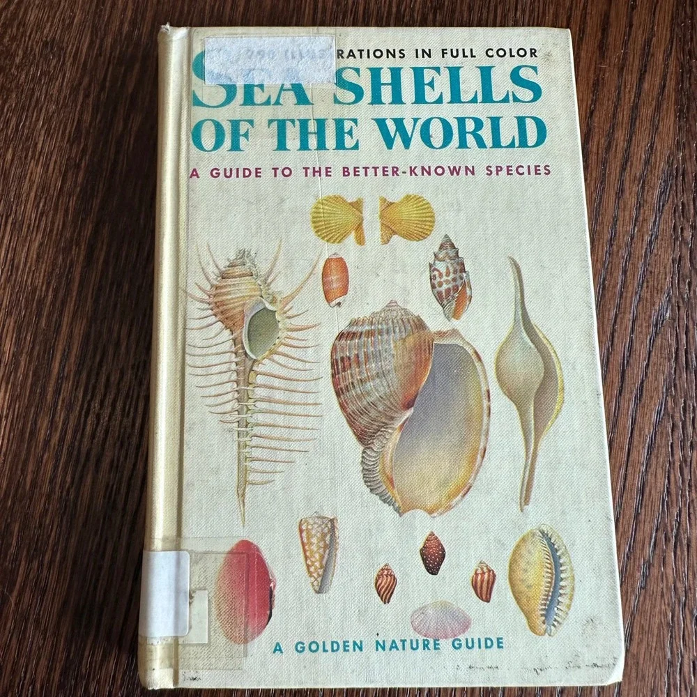 Sea Shells of the World Golden Nature Guide R Tucker Abbott Vintage Book 1962